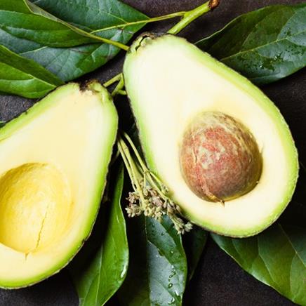 Natural active Avocado